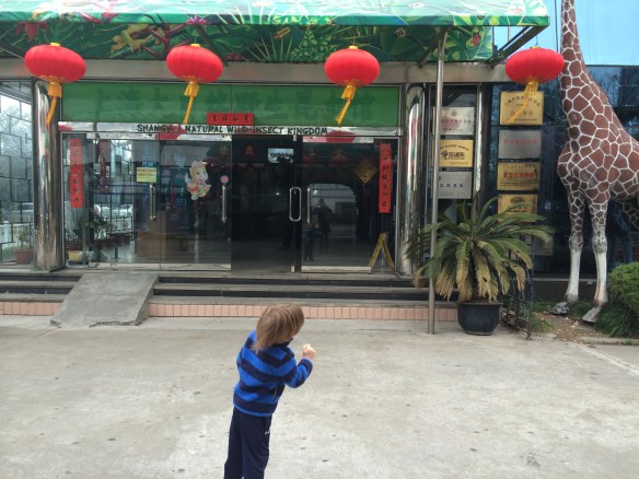 The giraffe outside the Insect Kingdom makes perfect sense, kid. IMG_2578